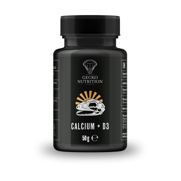Gecko Nutrition Starter Set
